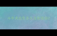 斗牛犬出生多久注射疫苗