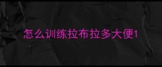 怎么训练拉布拉多大便