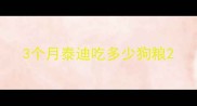 3个月泰迪吃多少狗粮