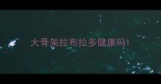大骨架拉布拉多健康吗