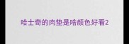 哈士奇的肉垫是啥颜色好看