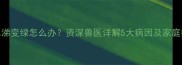 哈士奇鼻涕变绿怎么办资深兽医详解5大病因及家庭护理指南