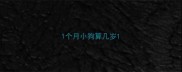 1个月小狗算几岁