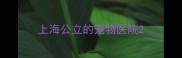 上海公立的宠物医院