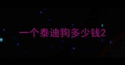 一个泰迪狗多少钱