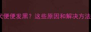 拉布拉多幼犬便便发黑这些原因和解决方法家长必看