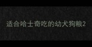 适合哈士奇吃的幼犬狗粮