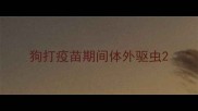 狗打疫苗期间体外驱虫