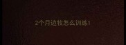 2个月边牧怎么训练