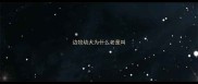 边牧幼犬为什么老是叫