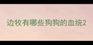 边牧有哪些狗狗的血统