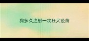 狗多久注射一次狂犬疫苗
