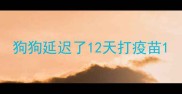 狗狗延迟了12天打疫苗