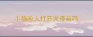 小猫咬人打狂犬疫苗吗