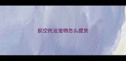 航空托运宠物怎么提货