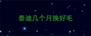 泰迪几个月换好毛
