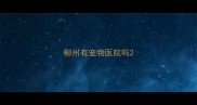 柳州有宠物医院吗