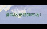 番禺区宠物狗市场