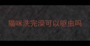 猫咪洗完澡可以驱虫吗