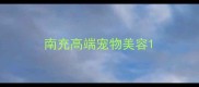 南充高端宠物美容