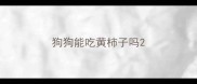 狗狗能吃黄柿子吗