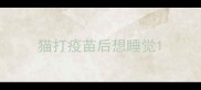 猫打疫苗后想睡觉