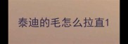 泰迪的毛怎么拉直