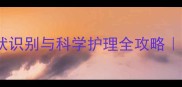 金毛幼犬感冒症状识别与科学护理全攻略新手养宠必看