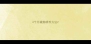 4个月藏獒喂养方法