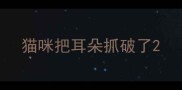 猫咪把耳朵抓破了