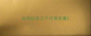 拉布拉多三个月有多重