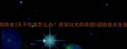 母狗绝食3天不吃饭怎么办资深训犬师亲授5招绝地求生指南