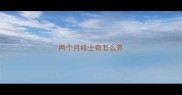 两个月哈士奇怎么养