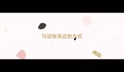 与边牧亲近的方式