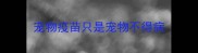 宠物疫苗只是宠物不得病