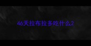 46天拉布拉多吃什么