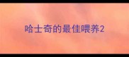 哈士奇的最佳喂养