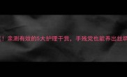 泰迪毛干枯毛躁救星亲测有效的5大护理干货手残党也能养出丝绸感附日常护理表