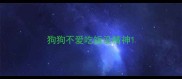 狗狗不爱吃饭没精神