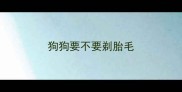 狗狗要不要剃胎毛