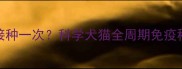 宠物疫苗多久接种一次科学犬猫全周期免疫程序与注意事项