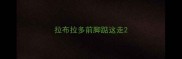 拉布拉多前脚踮这走