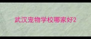 武汉宠物学校哪家好
