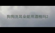 狗狗洗耳朵能用酒精吗