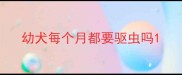 幼犬每个月都要驱虫吗