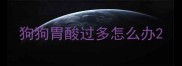 狗狗胃酸过多怎么办