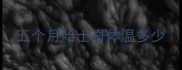 五个月哈士奇体温多少