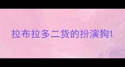 拉布拉多二货的扮演狗