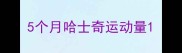 5个月哈士奇运动量