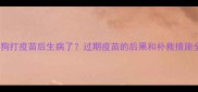 小狗打疫苗后生病了过期疫苗的后果和补救措施全